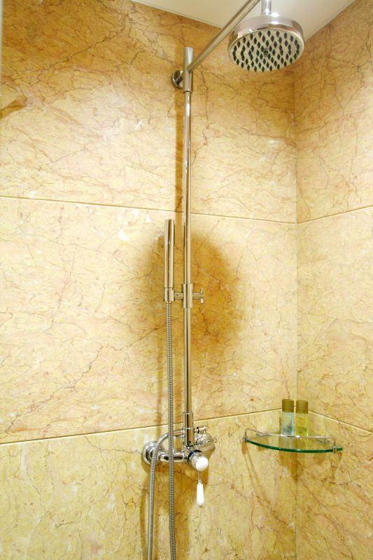 Luxury Rain Showerhead